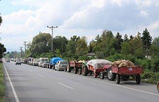 Bu da fındık kuyruğu
