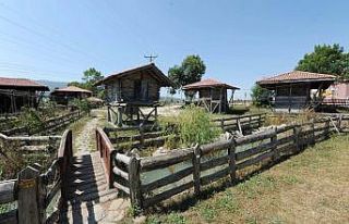 Bu müzenin dünyada benzeri yok