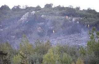 Bucak’taki orman yangını kontrol altına alındı