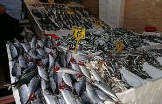 Bugün günlerden ’palamut’: Yarım kiloluk palamut...