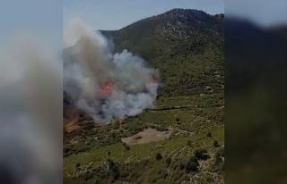 Burdur Bucak’ta orman yangını