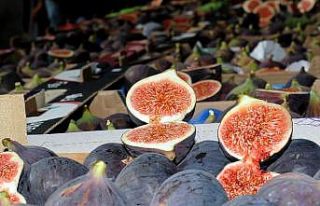 Bursa siyahı görücüye çıkıyor