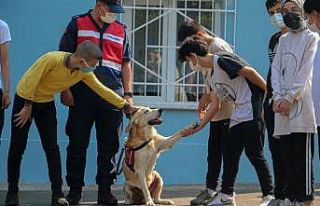 Bursa’da jandarma, okul çevrelerinde denetim yaptı