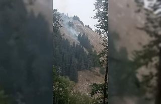 Bursa’da korkutan orman yangını