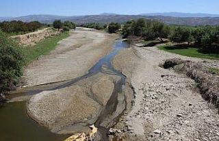 Büyük Menderes Nehri kurudu, çiftçiler tedirgin