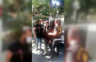 Büyükada’da evinin bahçesinde uyuşturucu yetiştirip...