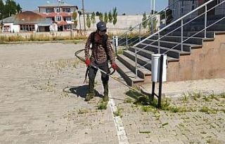 Çaldıran Belediyesi okul bahçelerinde temizlik...