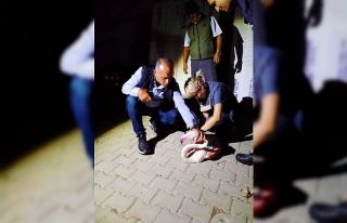 Çanakkale’de yorgun düşen flamingo tedavi altına...