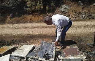 Çandır yangınında hayvan ve arı kovanları zarar...