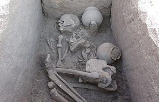 Çayönü Höyüğü’nden sandık tipi mezar çıktı