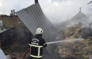 Çendik köyünde yangın: Bir ev, ahır ve 700 saman...