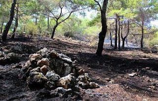 Cengiz Holding’den afet bölgelerine yardım