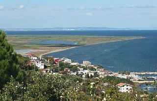 Çevrecilerin karides isyanı