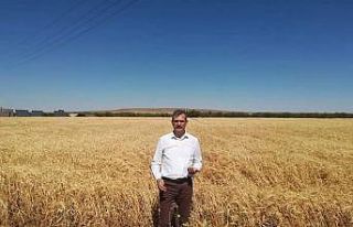 Çiftçilere kuraklık desteği