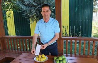 Çiftçinin çöpe attığı ıskarta limon marketlerde...