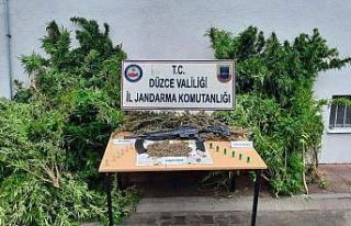 Çiftlik evde 31 kök kenevir 2 bin 900 gram esrar...