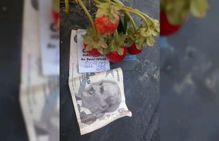 Çilek üreticisini duygulandıran not