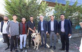 Çoban köpekleri İnegöl’de yarıştı