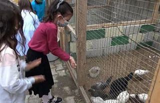 "Çocuklar hayvan sevgisiyle büyüsün"...
