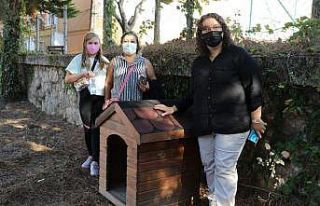 Çocukların hayvan sevgisine belediyeden kulübe...