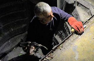 Çöpe atılan kediyi belediye kurtardı