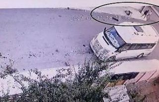 Çorum’da pitbull dehşeti