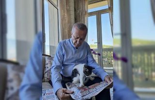 Cumhurbaşkanı Erdoğan torununun kedisiyle olan...