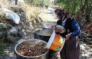 Dalından sofraya armudun pekmeze yolculuğu