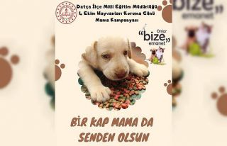 Datça İlçe Milli Eğitim’den mama kampanyası
