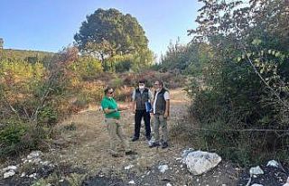 Defne kalitesini garantileyen proje