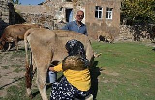 Devlet desteğiyle hayvan sahibi olan eski hükümlü...