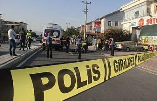 Devrilen akülü motosikletteki yolcuya kamyonet çarptı:...