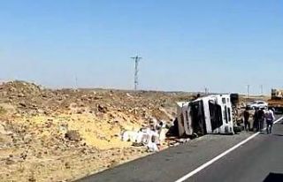 Devrilen tırdaki mısırlar ortalığa saçıldı