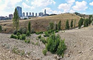 Dikmen Deresi’nde yürütülen atıkla mücadele...