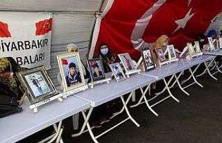 Direniş devam ediyor, çığlıkları dağ gibi yükseliyor