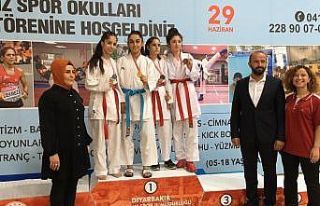 Diyarbakır’da karate turnuvası yapıldı
