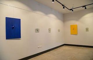 Diyarbakır’da ’Sergi Sarı Bayraklıdır’ sergisi...