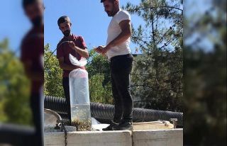 Diyarbakır’daki göletlere 1 milyon 280 bin balık...