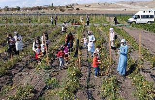 Doğayla baş başa bostan keyfi