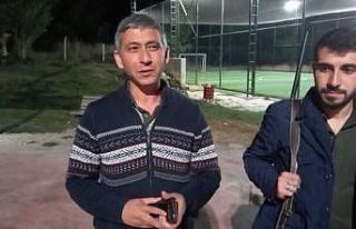 Domuzlar mahalleye indi, vatandaşlar panik yaşadı
