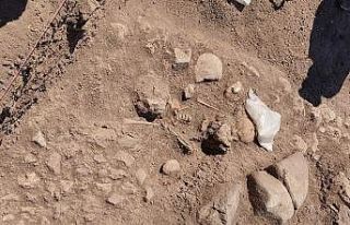 Domuztepe Höyüğü’nde Orta Çağ’da yaşamış...