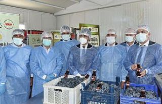 DÜ Ziraat Fakültesi üzüm ürünleri işleme tesisi...