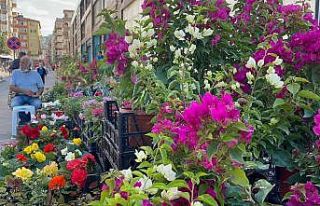 Dünya’nın çiçekleri Yalova’dan gidiyor