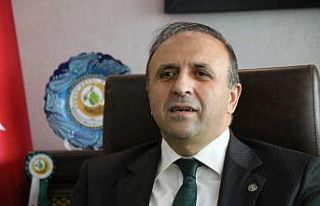 Dünyanın en sıcak noktasında bir ağaç müzesi