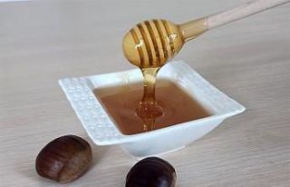 Düzce kestane balı coğrafi işaret tescilini aldı