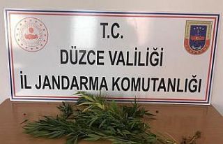 Düzce’de jandarmadan 3 farklı noktada uyuşturucu...