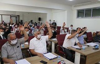 Efeler Belediyesi, kadına şiddete dikkat çekecek