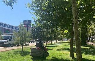 Elazığ Belediyesi çim biçme çalışmalarını...