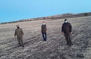 Elazığ’da kaçak avcı denetiminde bıldırcın...