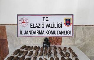 Elazığ’da kaçak bıldırcın avına 8 bin 220...